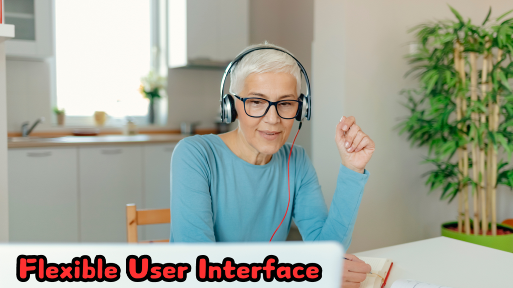 Flexible User Interface